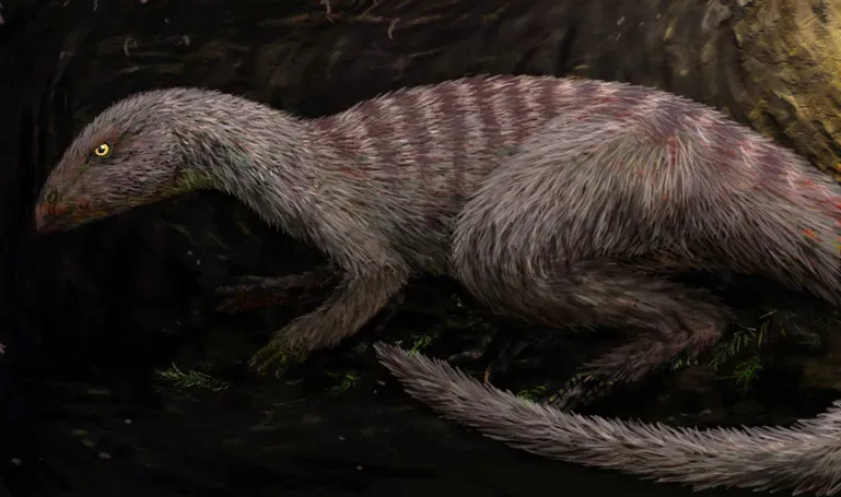 6. Burrowing Behavior: Going Underground to Escape the Cold (Image Credits: Wikimedia)