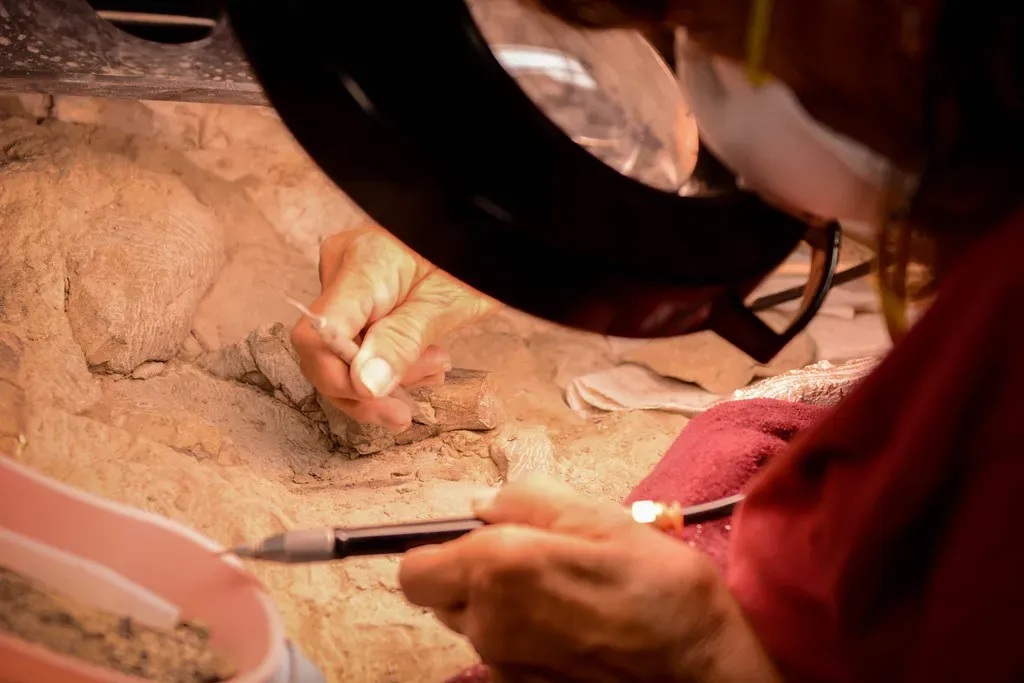 Molecular Preservation: Metabolic Time Capsules in Bone (Image Credits: Flickr)