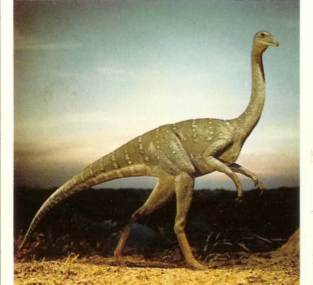 5. Struthiomimus – The “Ostrich Dinosaur” That Took Lightness Seriously (Image Credits: Flickr)