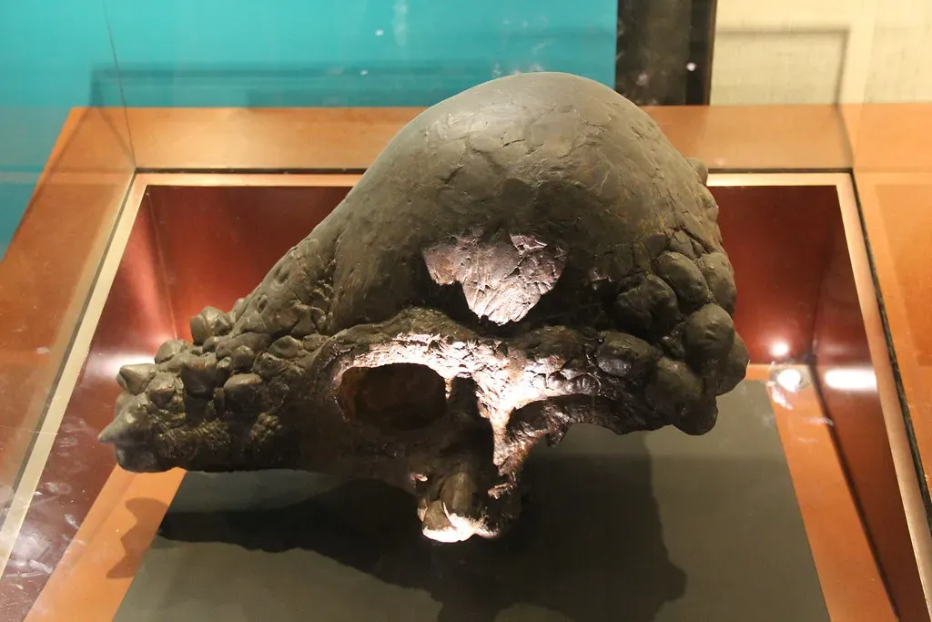The Bigger Lesson: Why Dinosaur Behavior Stories Keep Changing (Image Credits: Flickr)