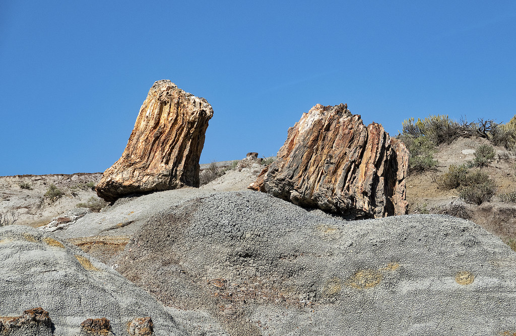 Revolutionary Dating and Analysis Techniques (Image Credits: Flickr)