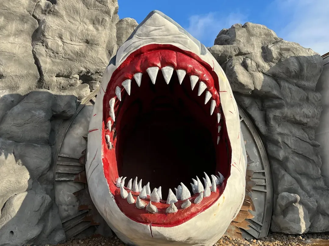What this monster shark tells us about our place in Earth’s story (Image Credits: Unsplash)