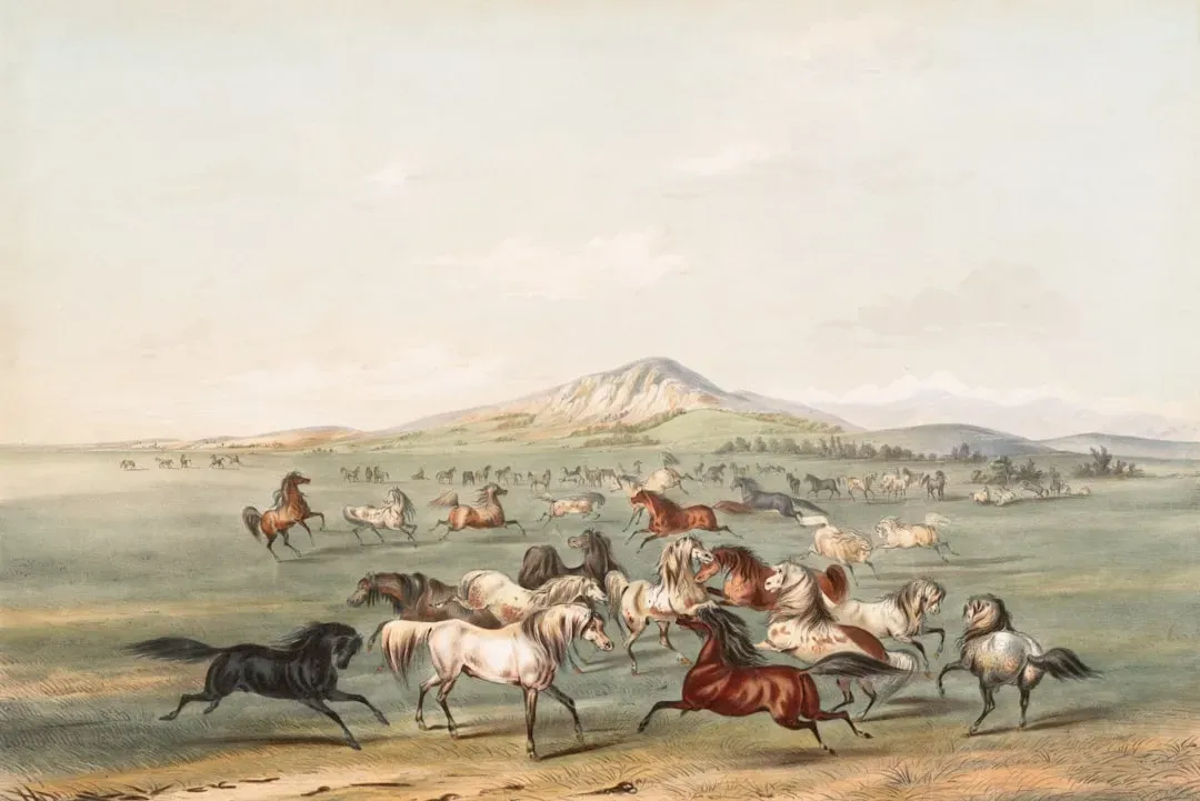 The Epic Horse Odyssey Nobody Talks About (Image Credits: Unsplash)