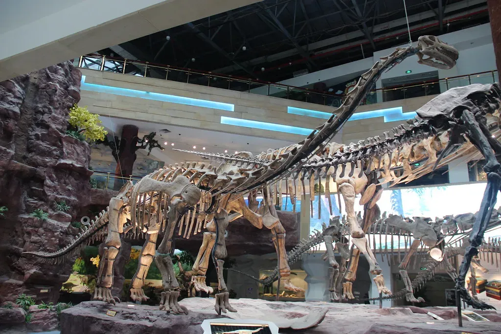 Hollow Bones Made the Impossible Possible (Image Credits: Flickr)