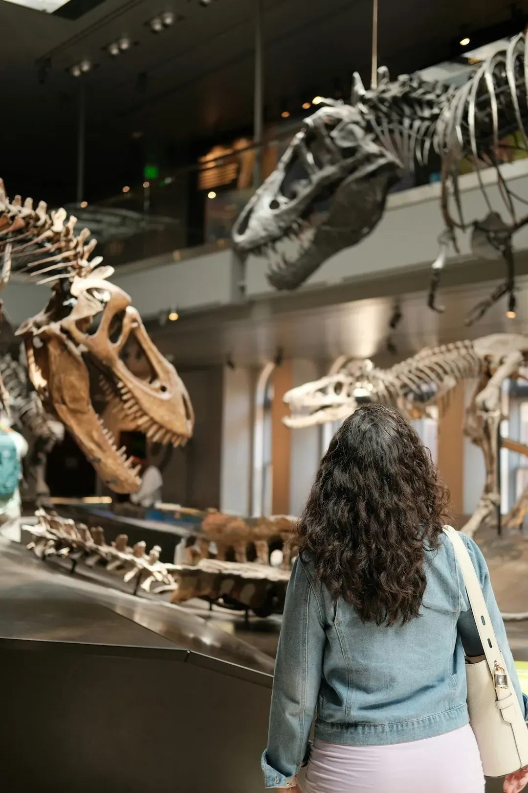 You Feel a Strong Pull Toward Museums, Collections, and Old Objects (Image Credits: Unsplash)