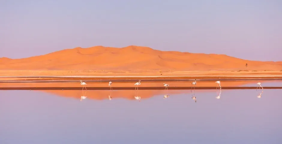 The Astonishing Truth: The Sahara Was Once Full of Lakes and Wildlife (Image Credits: Pexels)