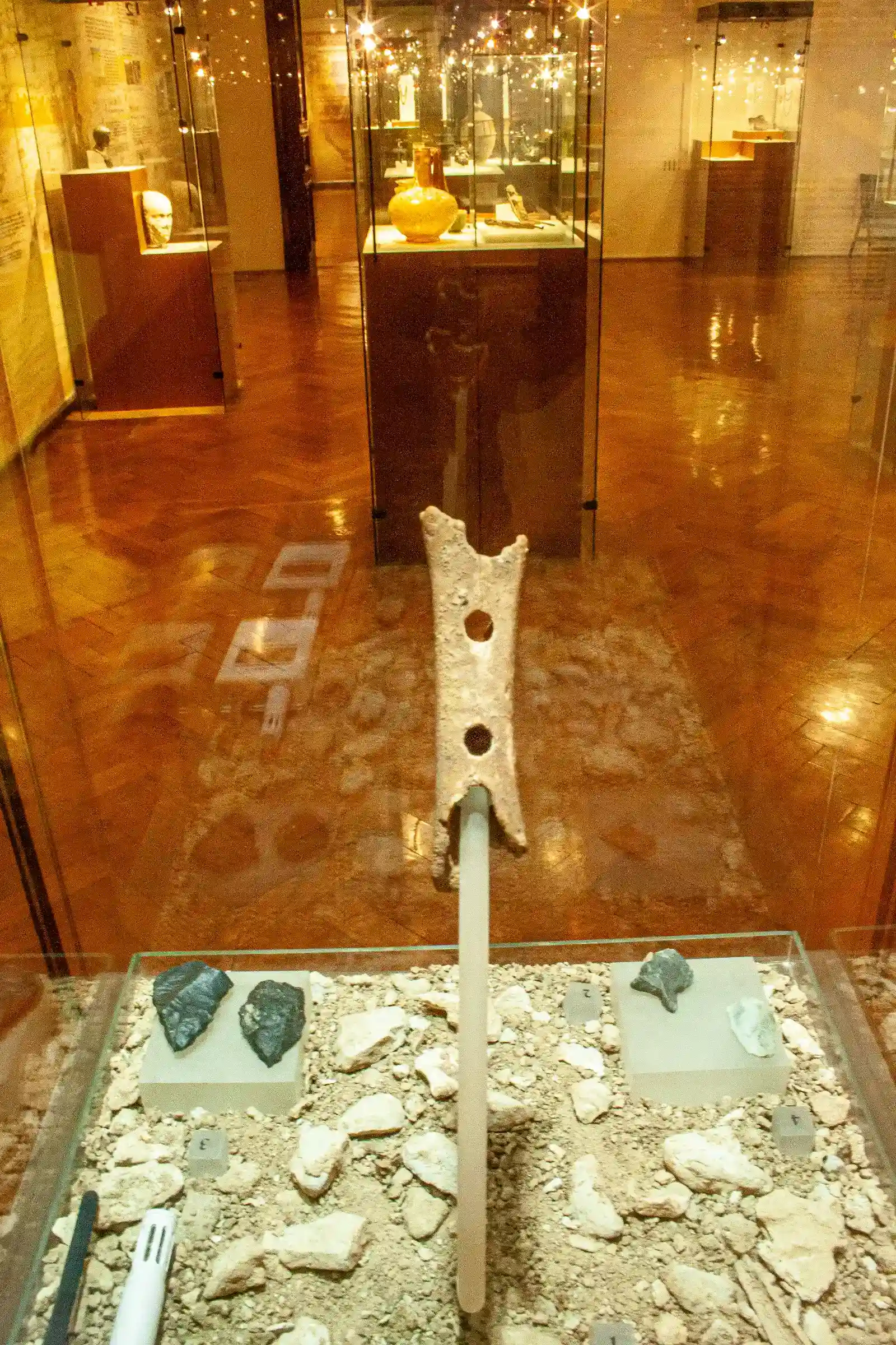 Did Neanderthals Teach Us Music, or Did We Inherit It From a Shared Ancestor? (By Szilas, CC0)