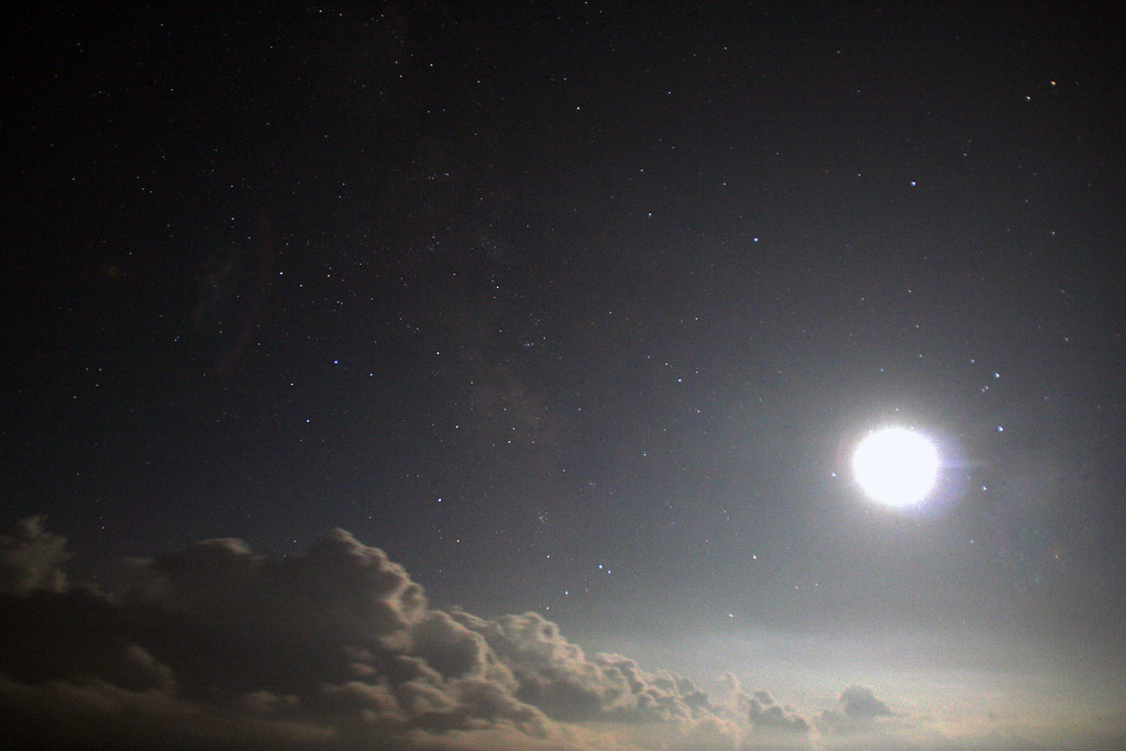 Scorpio: Transformation Under Moonlight (Image Credits: Flickr)