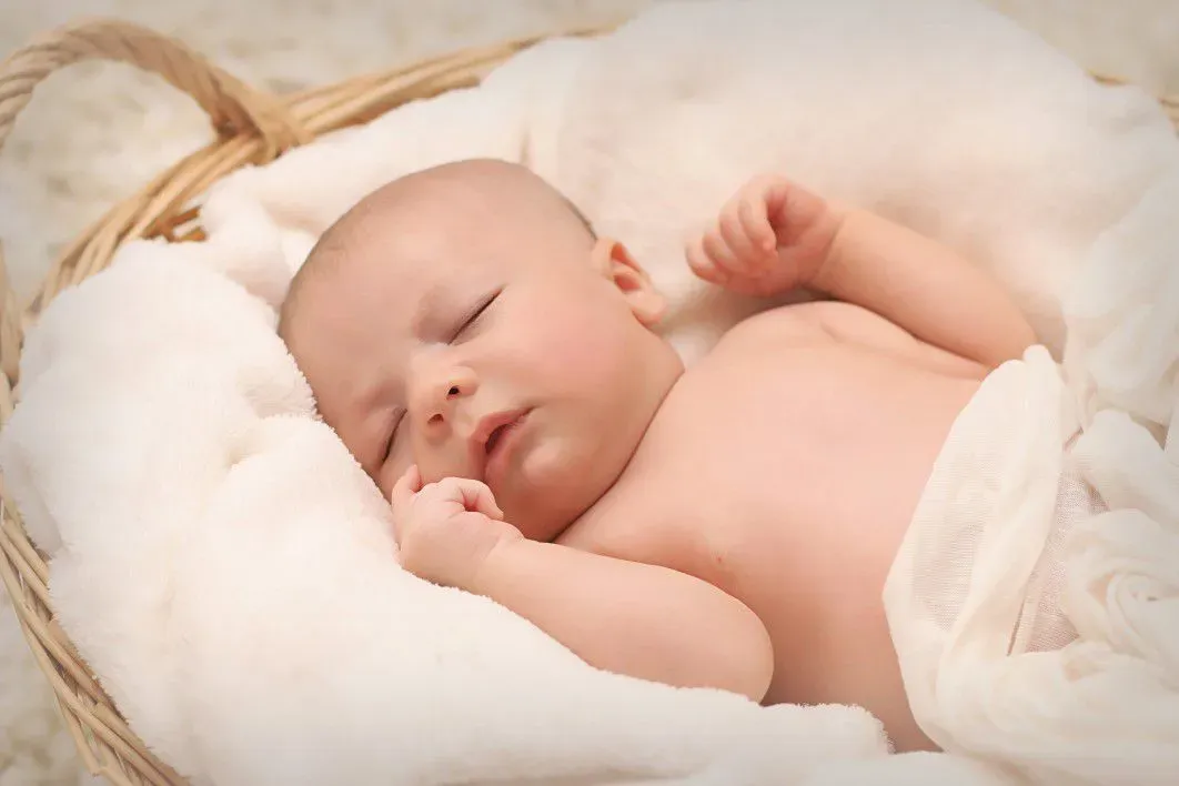 Why Human Babies Are So Helpless - and Why That Might Be an Advantage (By esudroff, CC0)