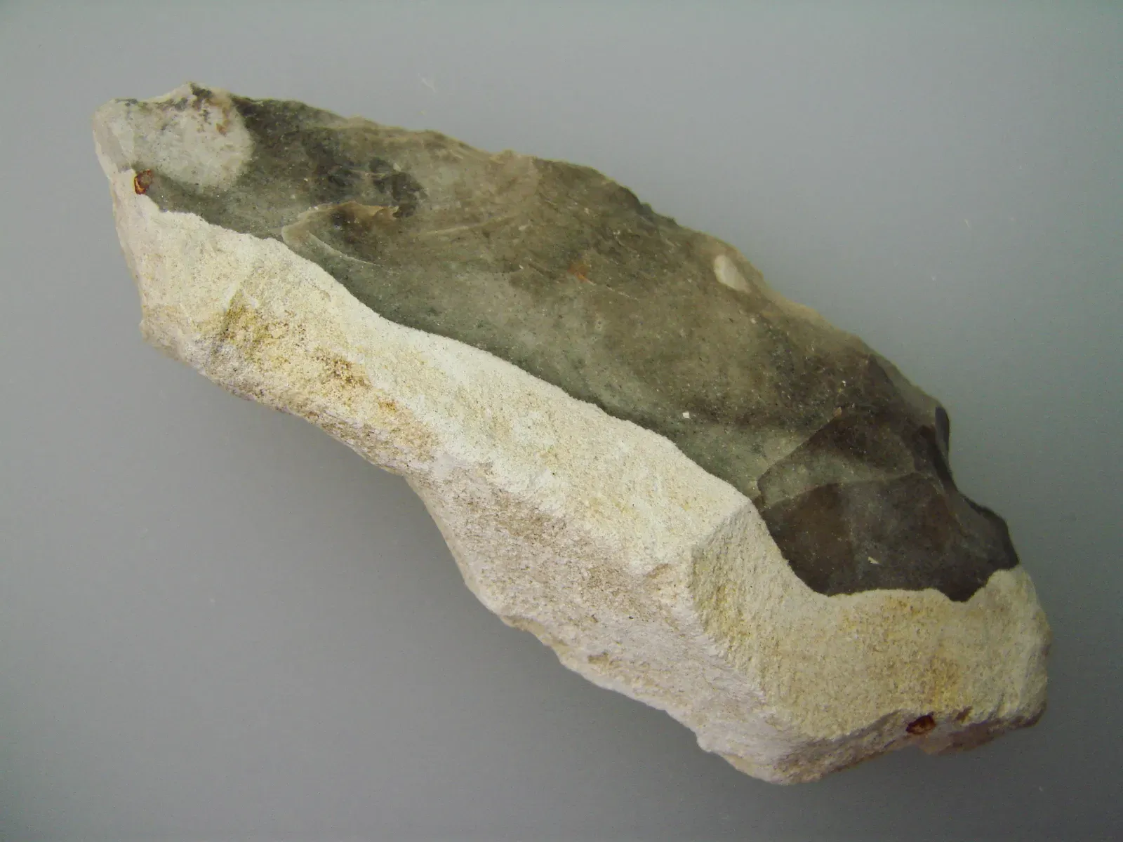 The Acheulean Revolution: When Early Humans Leveled Up (By Guérin Nicolas (messages), CC BY-SA 3.0)