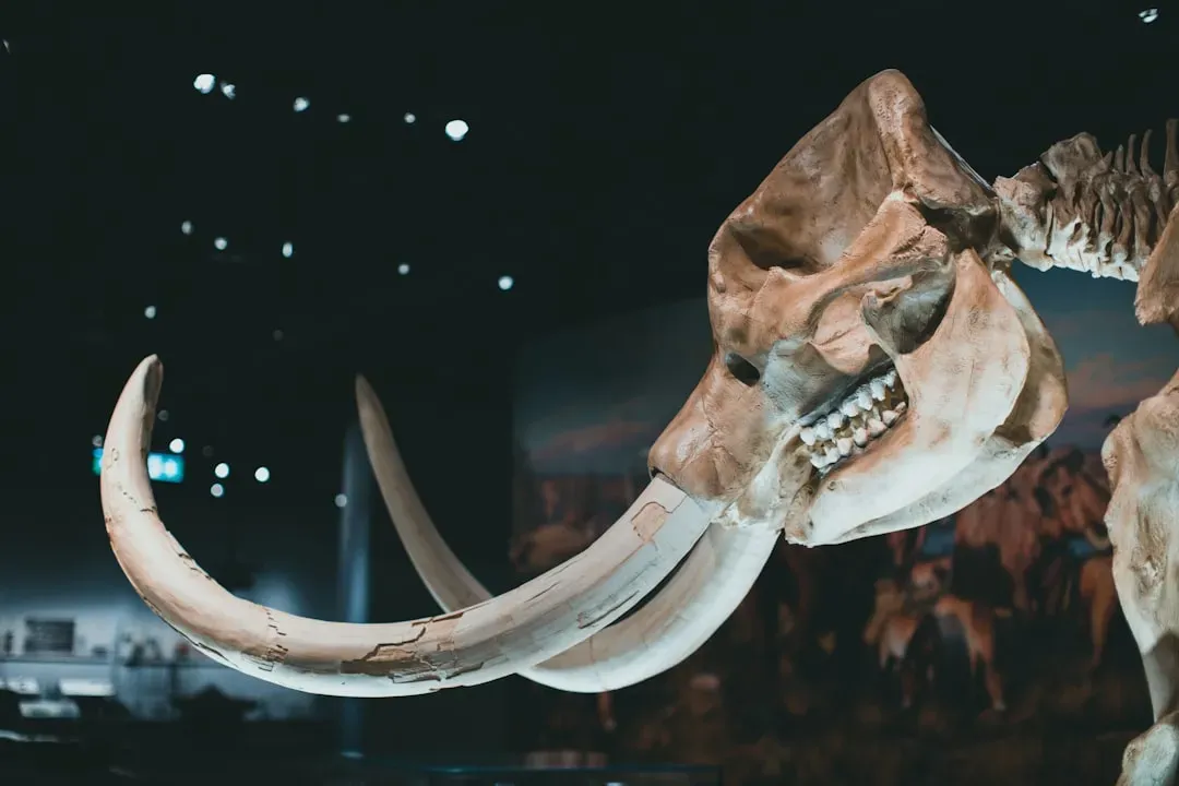 #7 - Woolly Mammoths Got a Lifespan Estimate 40,000 Years After Going Extinct (Image Credits: Unsplash)