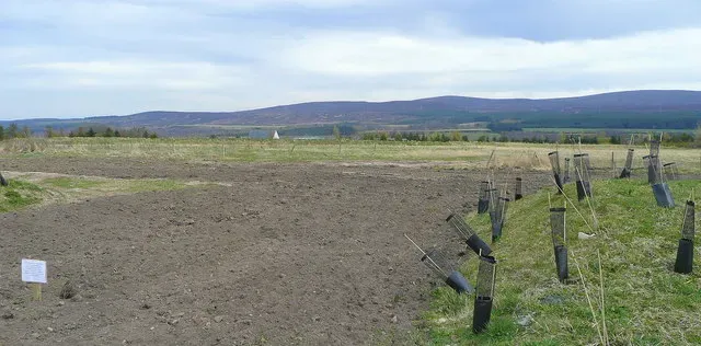 A battlefield hiding under a quiet river valley (From geograph.org.uk, CC BY-SA 2.0)