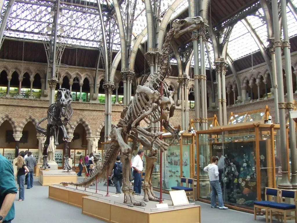 2. Iguanodon: The First Plant-Eating Giant Discovered (Image Credits: Flickr)