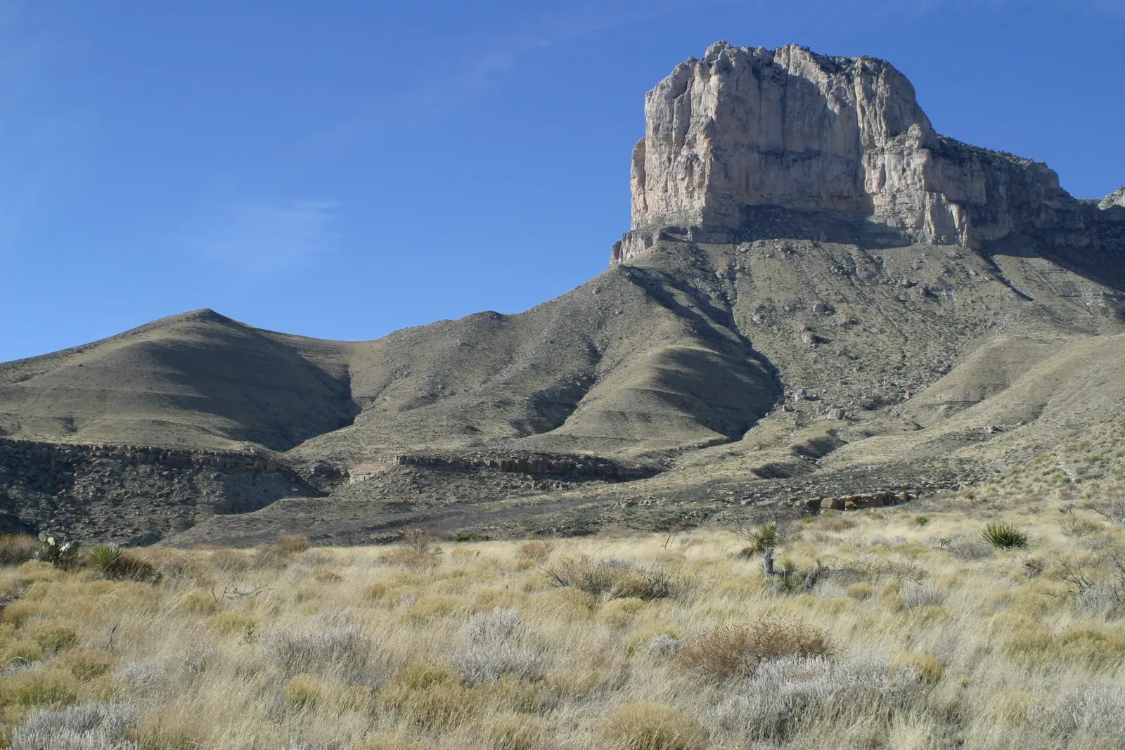 Guadalupe Mountains National Park: Secrets of an Ancient Ocean Reef (Image Credits: Wikimedia)