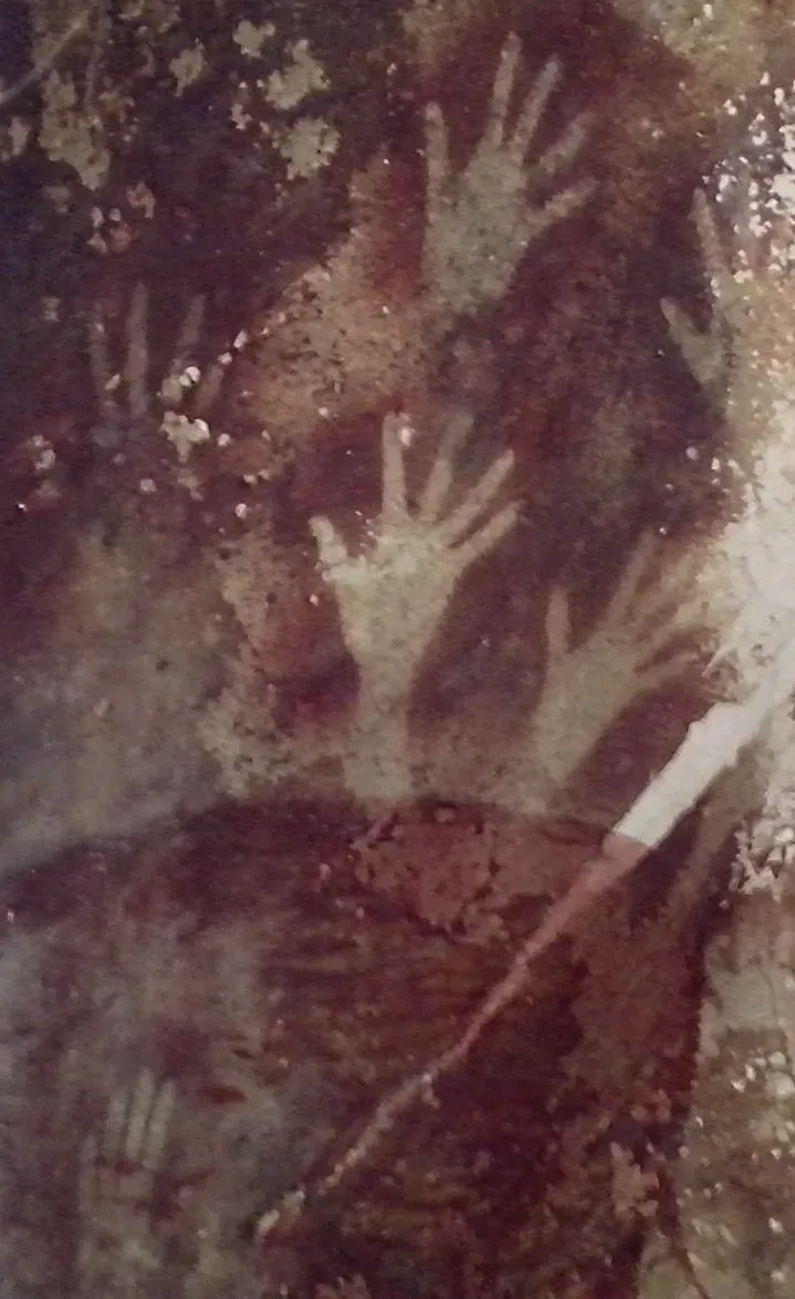 The World's Oldest Cave Art Found in Indonesia (Image Credits: Wikimedia)