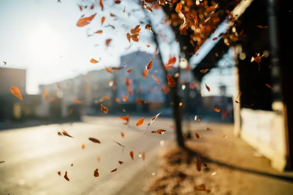 #11: Temperature, Smell, and the “Feel” of the Air (Image Credits: Pexels)