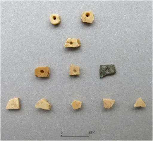 6. African ostrich eggshell beads: tiny circles with huge journeys (Yanhua Song, David J. Cohen, Jinming Shi: Diachronic Change in the Utilization of Ostrich Eggshell at the Late Paleolithic Shizitan Site, North China. Frontiers in Earth Science 9, 2022, pp. 818554 (fig. 5), doi:10.3389/feart.2021.818554, CC BY 4.0)