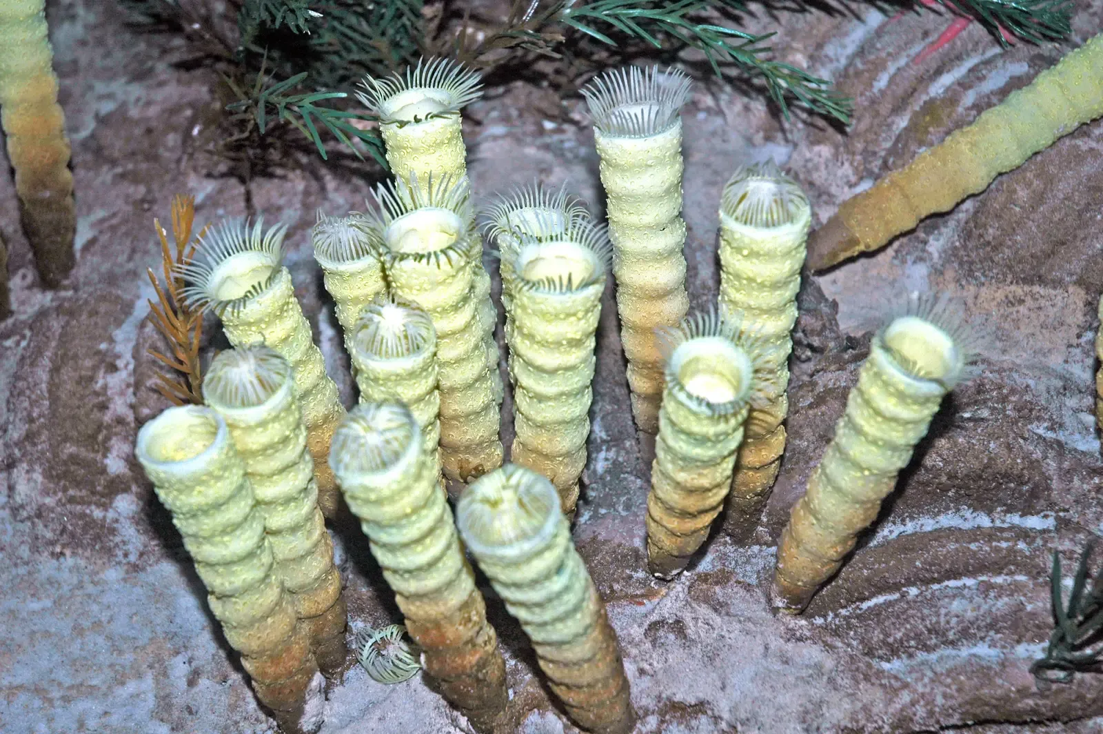 The Legacy Buried Beneath Your Feet (Image Credits: Wikimedia)