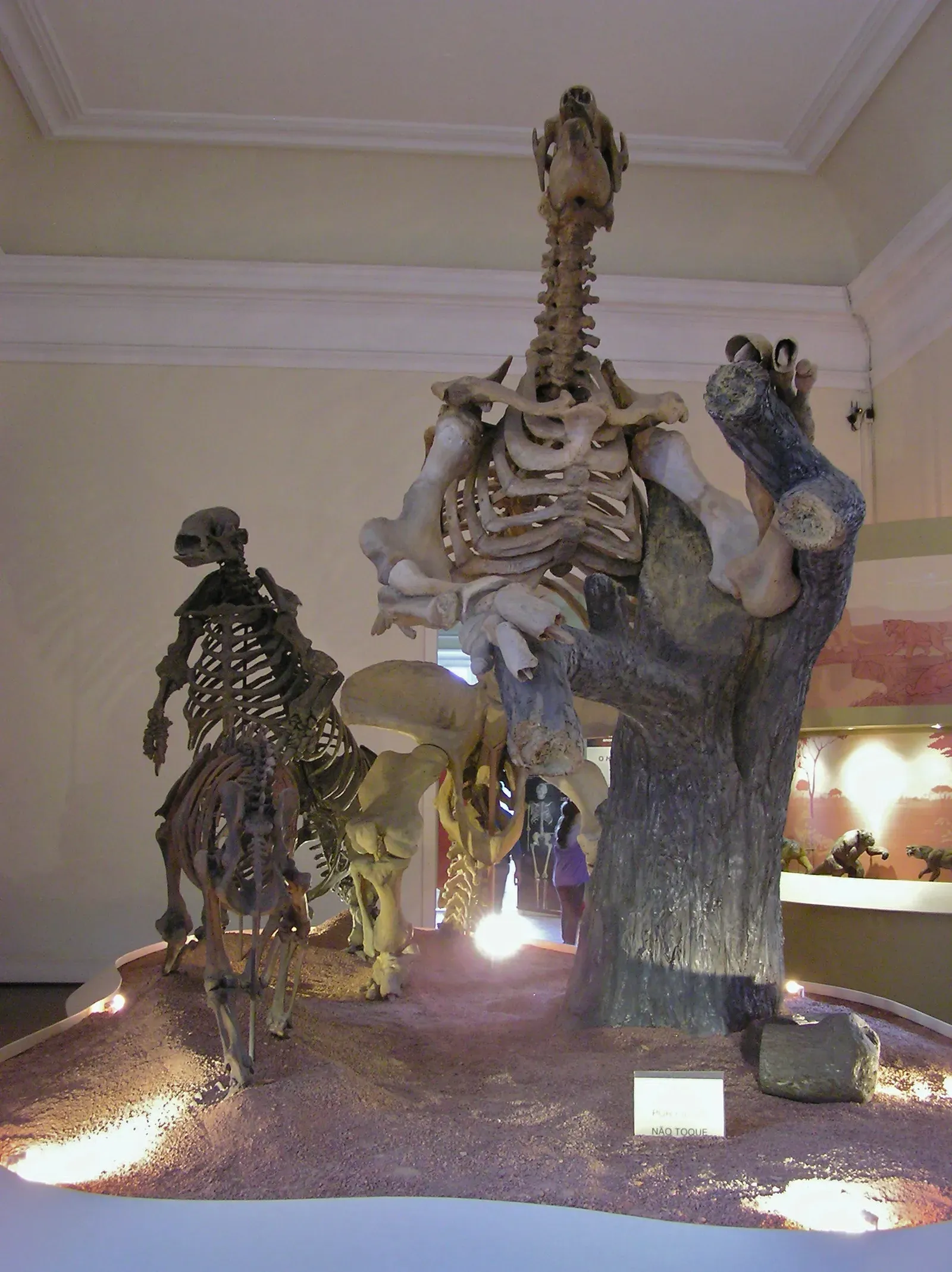 The Ecological Wreckage Left Behind (By Rsfinlayson, CC BY-SA 4.0)