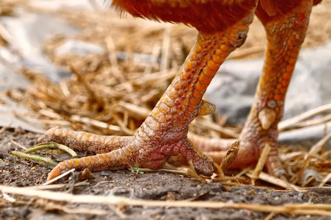 #9 - Growing Scaled, Reptilian Legs (Image Credits: Unsplash)