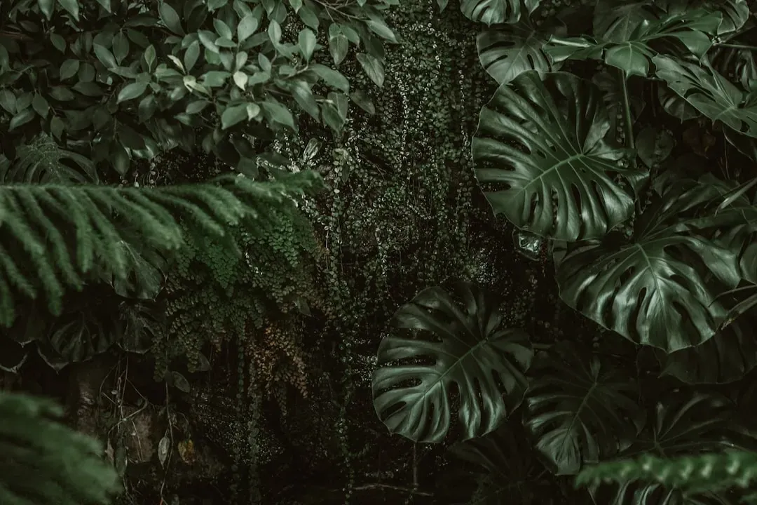No True Roots, No True Leaves: Early Plants Rewrote The Rules Of Being A Plant (Image Credits: Unsplash)