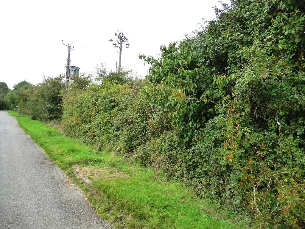 The Bottom Line (Geograph Britain and Ireland, CC BY-SA 2.0)