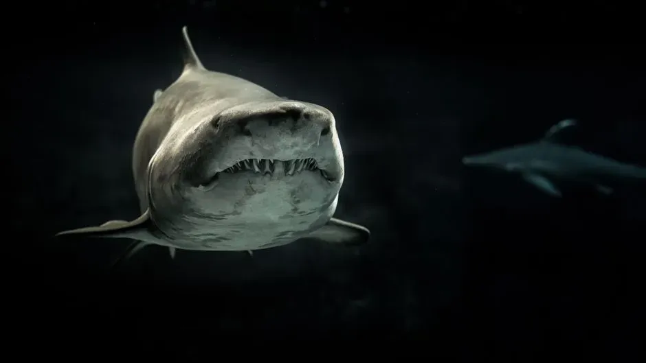 Megalodon – The Giant Shark of Ancient American Seas (Image Credits: Pexels)