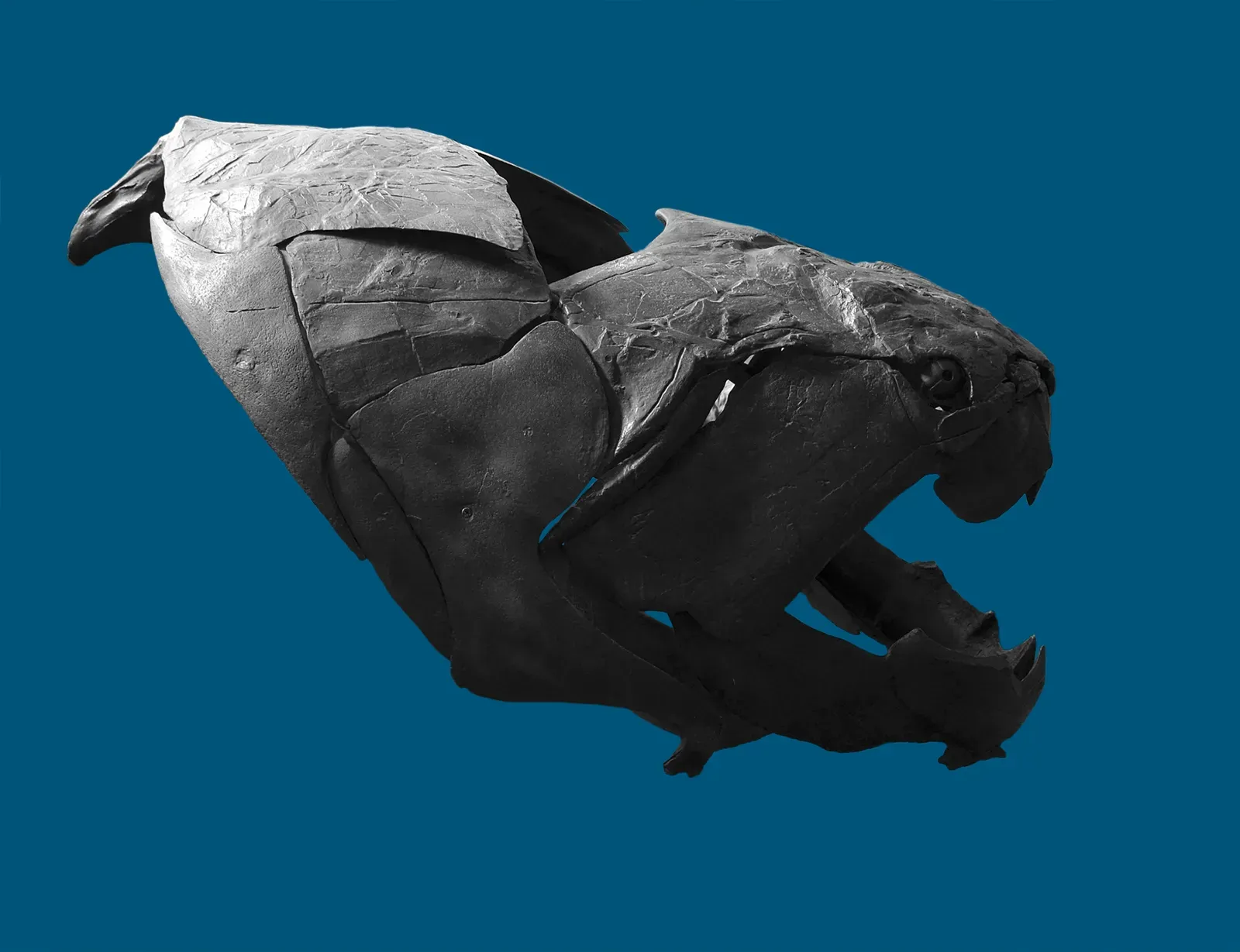 4. Its Skull Was A Living Tank, Built For Ramming And Ripping (By Vassil, CC0)