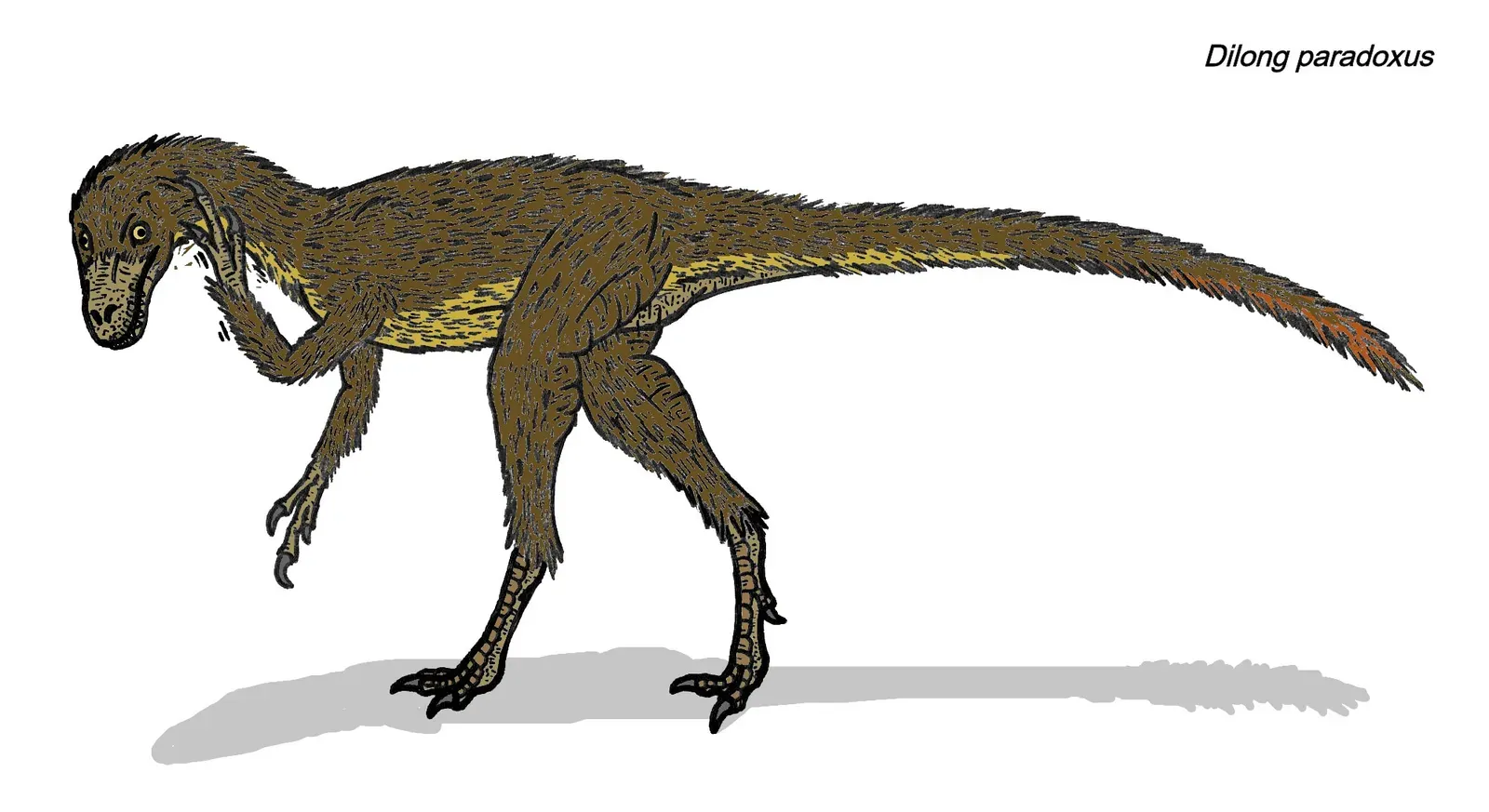 10. Being Tiny Could Be a Survival Strategy in a World of Giants (By Conty, CC BY 3.0)