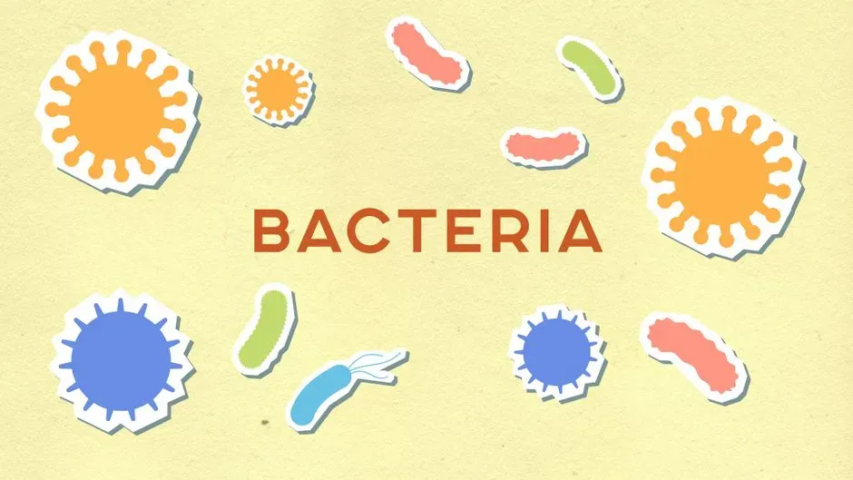 #6 - The Microbes That Weren't Bacteria After All (Image Credits: Pexels)