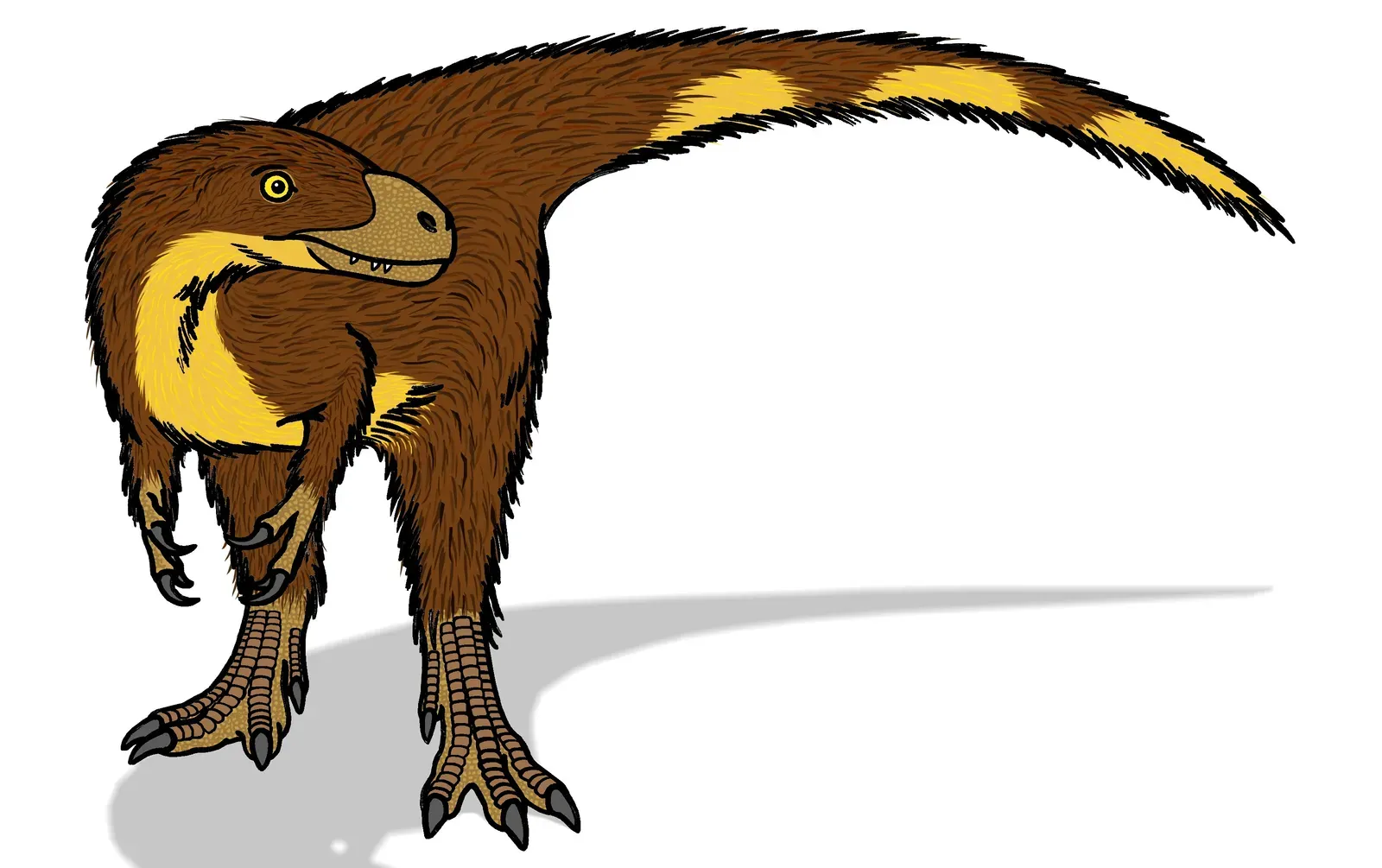 What Colors Were Dinosaurs? (By Conty, CC BY 3.0)