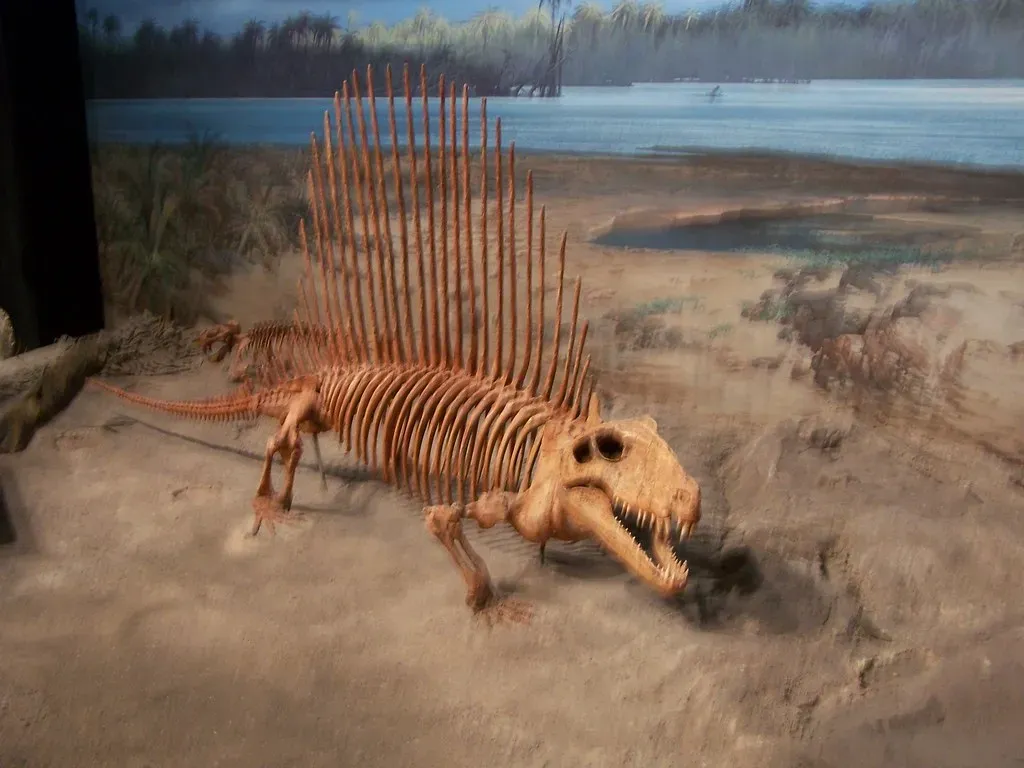 9. The Great Dying: The Catastrophe That Reset Life on Earth (ZacharyTirrell, Flickr, CC BY-SA 2.0)