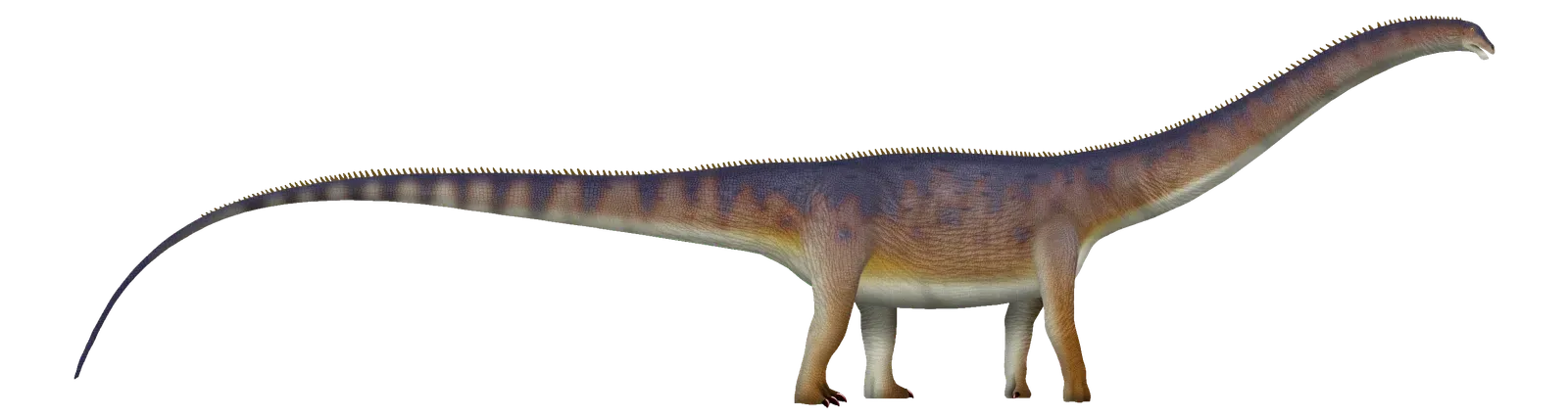 Diplodocus: The Whip-Tail Giant That Needed No Armor (By TotalDino, CC BY 4.0)