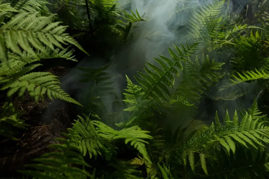 Oxygen on Steroids: A Planet That Breathed Too Much (Image Credits: Pexels)