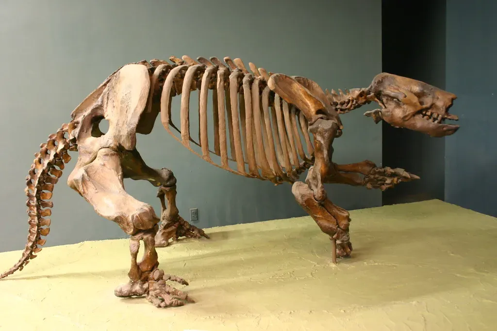 The Great Disappearance: What Wiped Them Out? (Ryan Somma, Flickr, CC BY-SA 2.0)