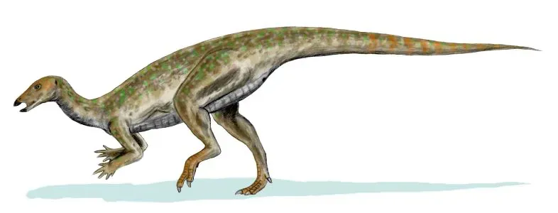 Thescelosaurus neglectus: The Dinosaur Literally Named 