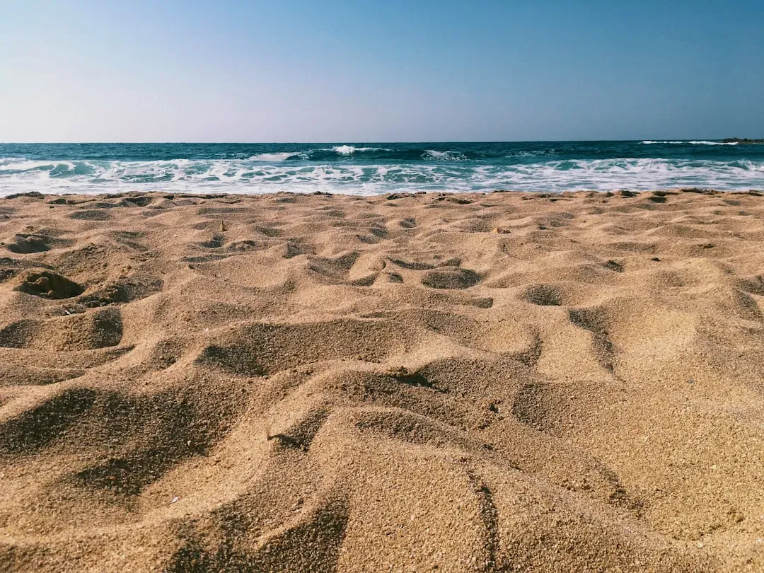 What this young sand reveals about climate, coasts, and us (Image Credits: Unsplash)