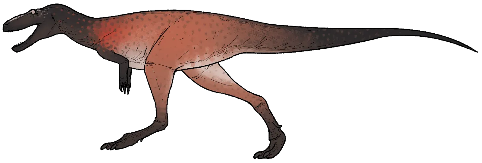 Khankhuuluu Mongoliensis: The Dragon Prince of the Missing Link (Image Credits: Wikimedia)