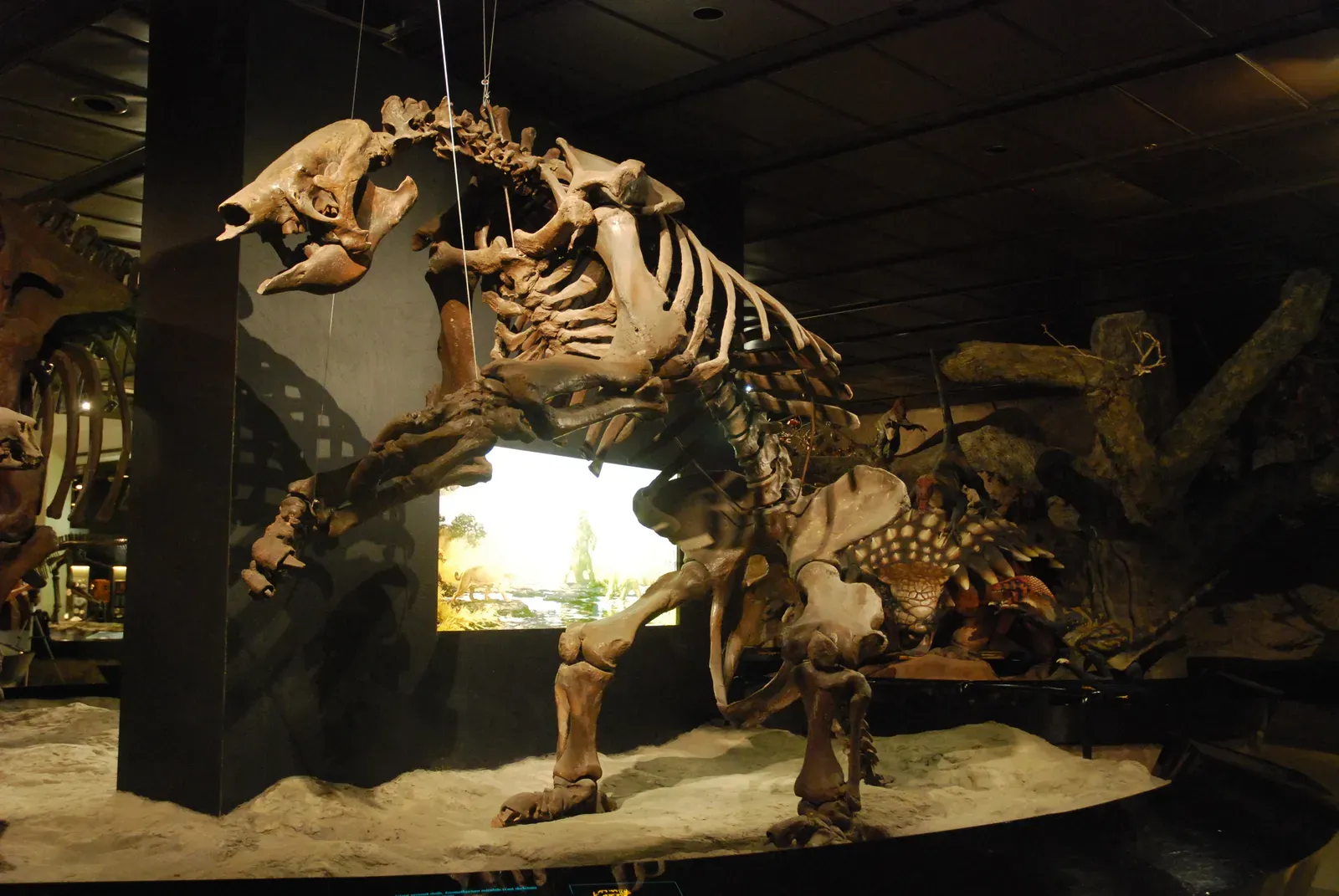 #7 - Their Ultimate Size Wasn't About Genetics - It Was Real Estate (Uploaded from the Wikipedia Loves Art photo pool on Flickr, CC BY-SA 2.5)