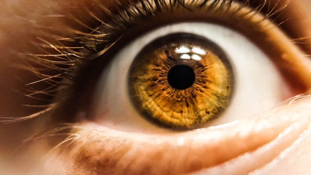 The Human Eye Is Weirdly Loud Compared To Other Primates (Image Credits: Unsplash)