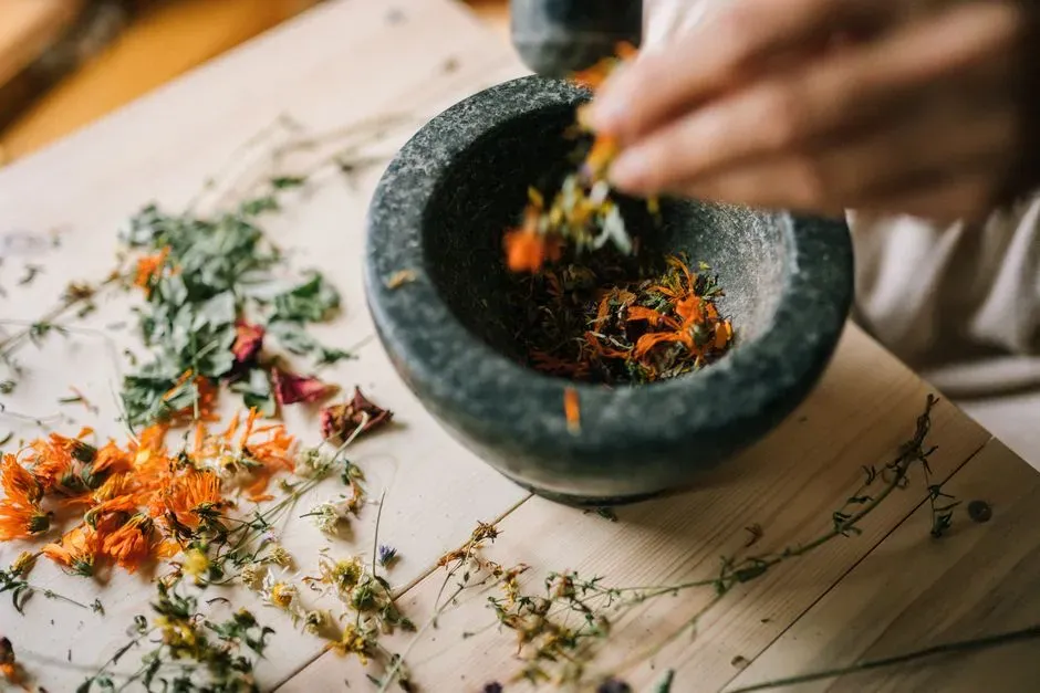 Botanical Evidence at Cave Sites: Plants That Do More Than Feed (Image Credits: Pexels)
