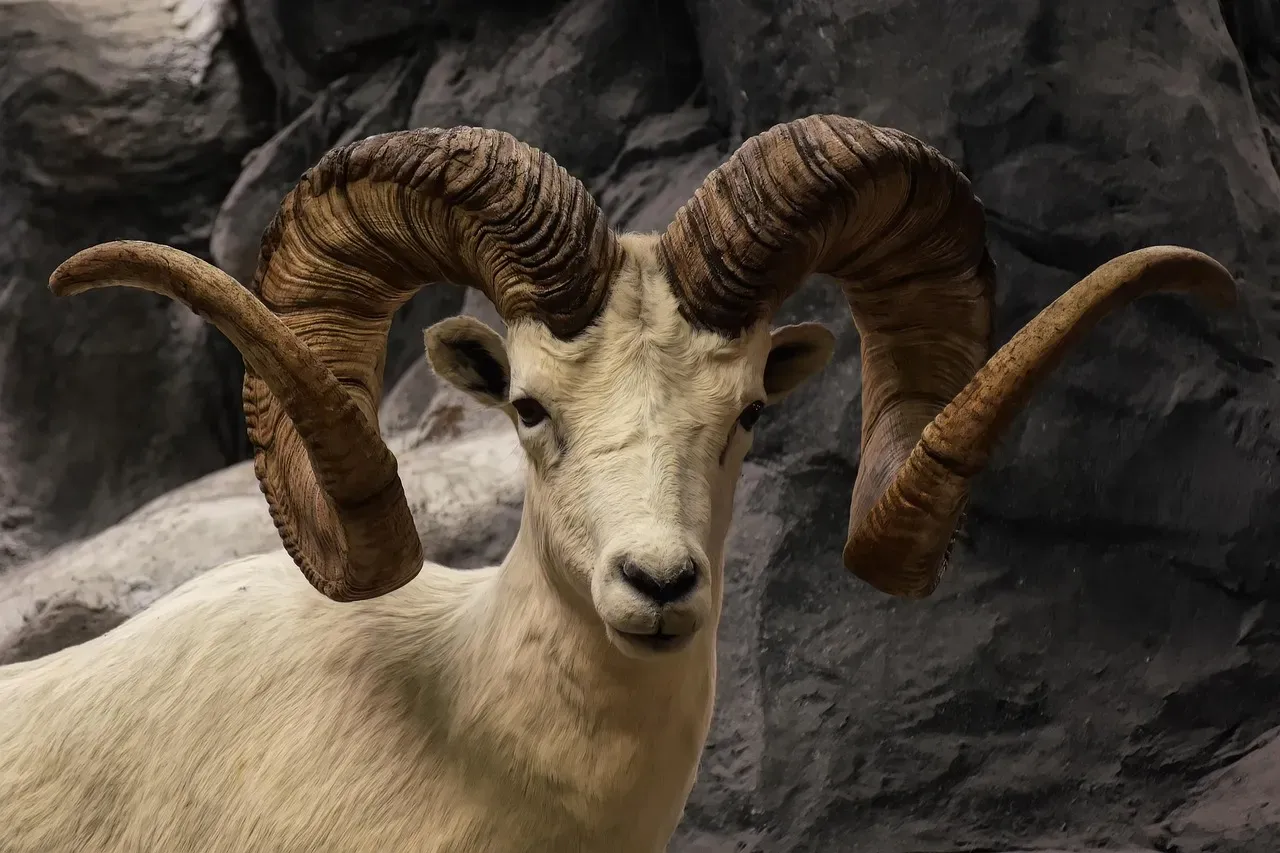 Aries: The Charging Ram (Image Credits: Pixabay)