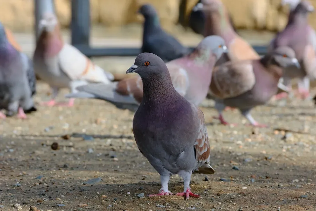 8. How You Can Still See Dinosaur Behavior in Modern Birds (Image Credits: Unsplash)
