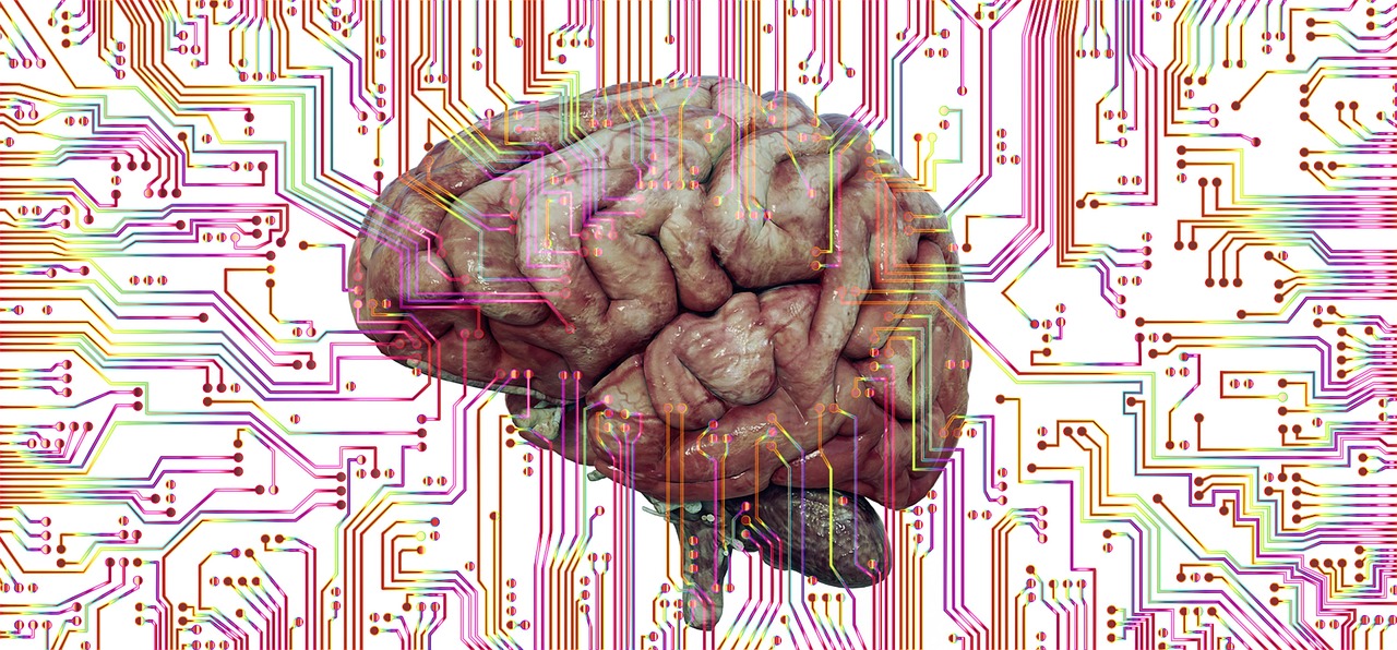 Conclusion (Image Credits: Pixabay)