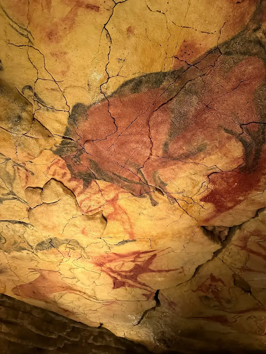 4. The Altamira Cave Paintings, Spain (Image Credits: Unsplash)
