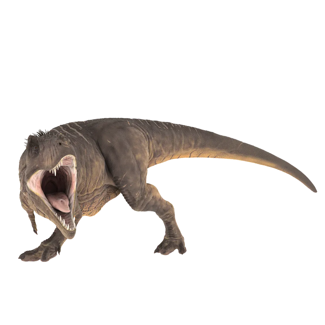 Tail Tales: More Than Just a Counterbalance (Image Credits: Pixabay)