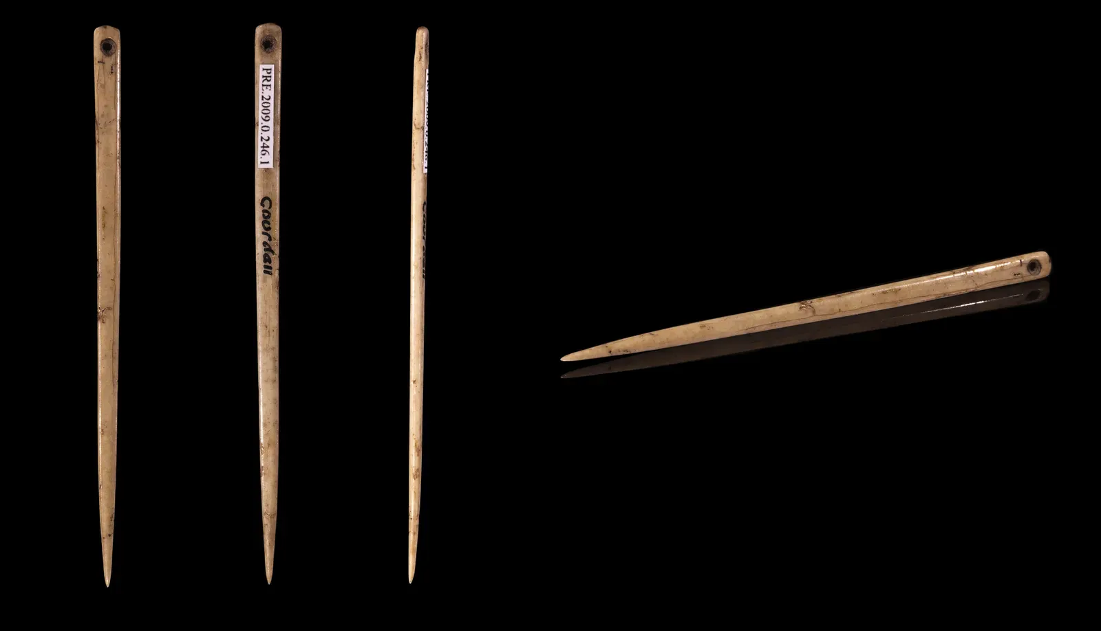 #8 - The Bone Needle That Out-Survives Modern Steel (By Didier Descouens, CC BY-SA 4.0)