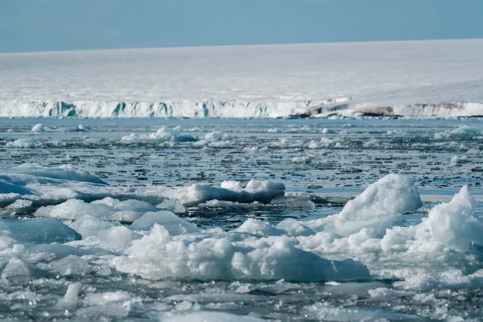 3. Sea Levels Dropped So Much You Could Walk Between Continents (Image Credits: Pexels)