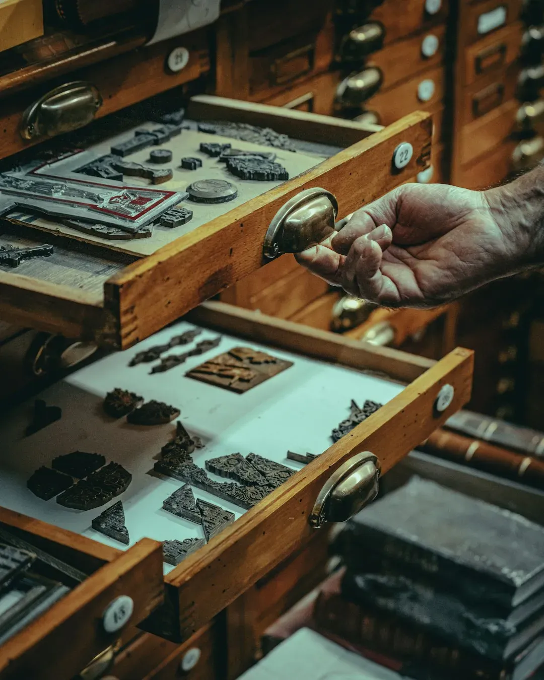 The hidden backlog: why revolutionary fossils get “lost” in plain sight (Image Credits: Unsplash)