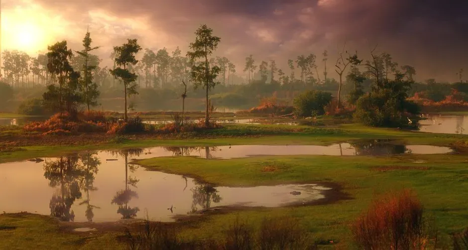 7. Dinosaurs Lived in Steamy, Unchanging Tropical Swamps (Image Credits: Pexels)